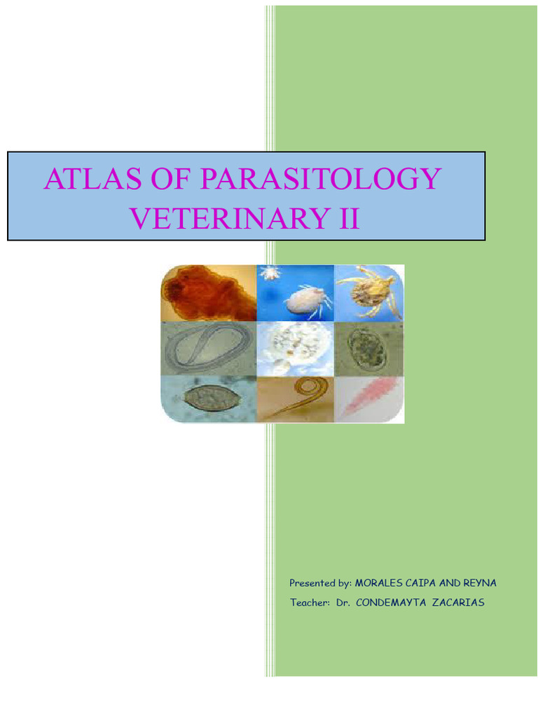 Veterinary Parasitology Atlas Guide | PDF | Microbiology | Biology