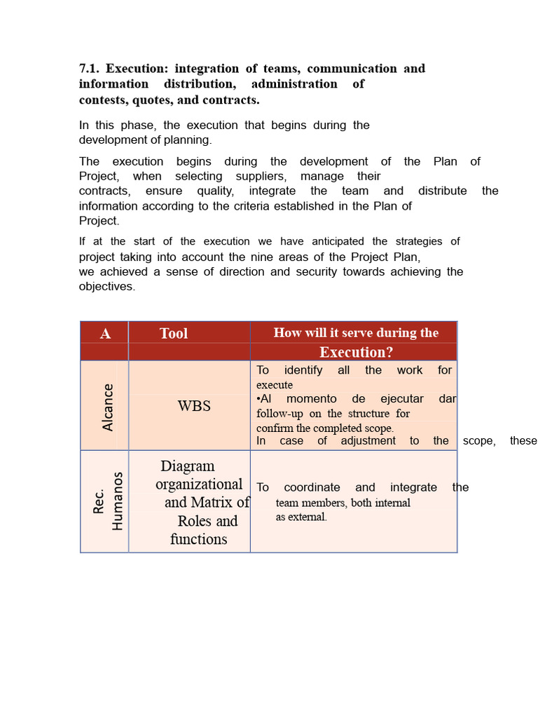 Project Execution and Control Strategies | PDF | Business