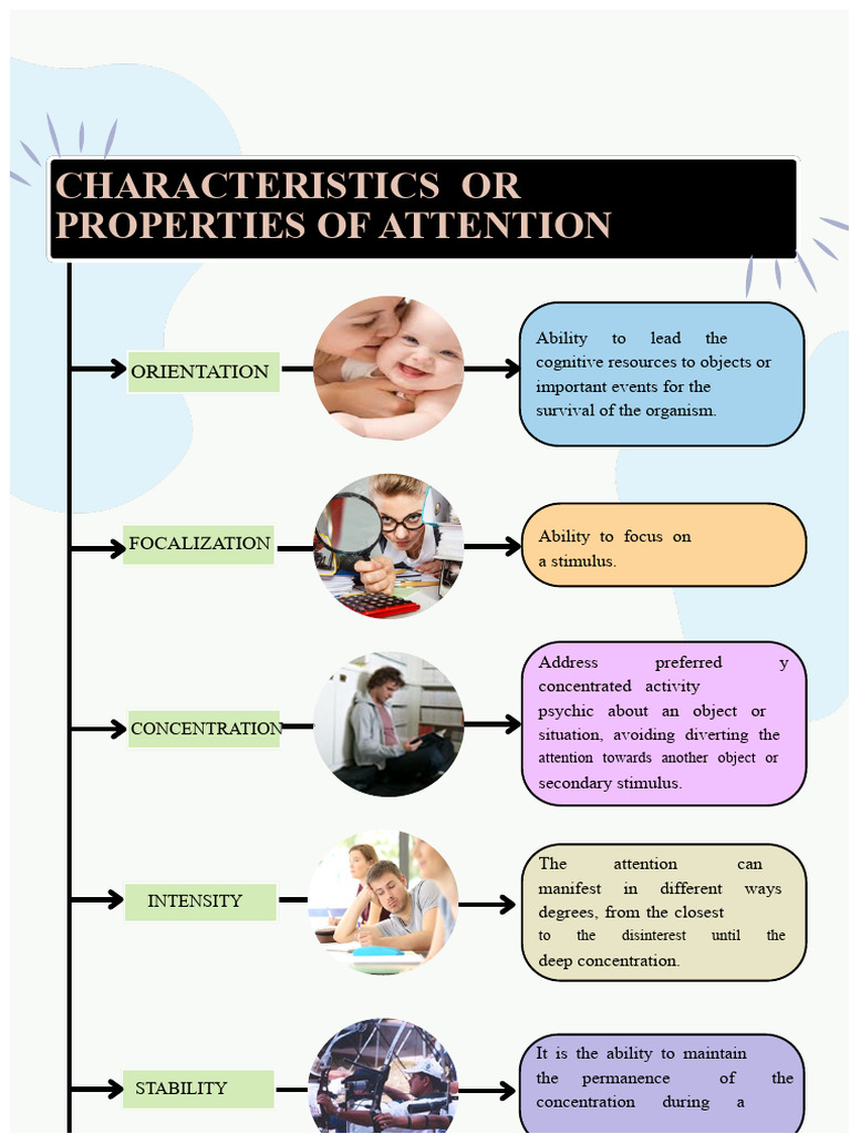 Attention - Types and Properties | PDF