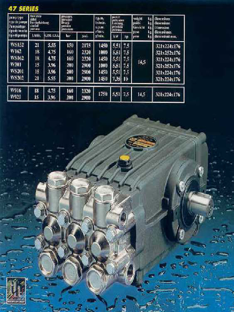 Interpump Ws201 Pump | PDF
