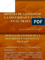 Sistema de Gestion en Seguridad y Salud