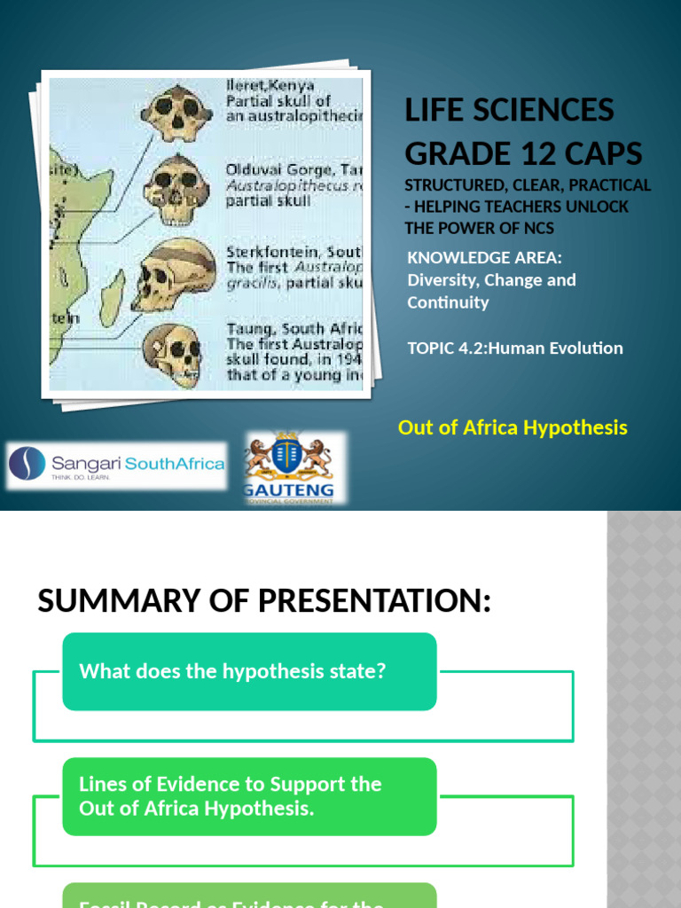 PP27. Out of Africa Hypothesis | PDF | Homo | Biological Anthropology
