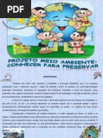 PROJETO MEIO AMBIENTE