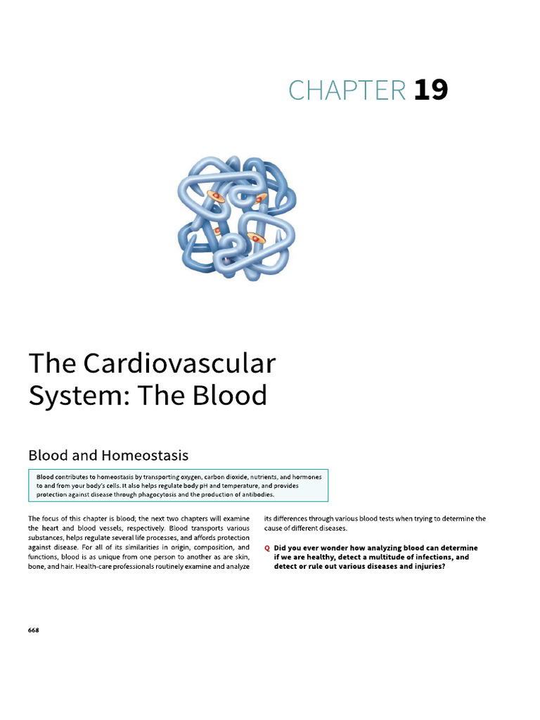 Blood | PDF