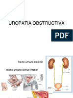 uropatiaObstructiva