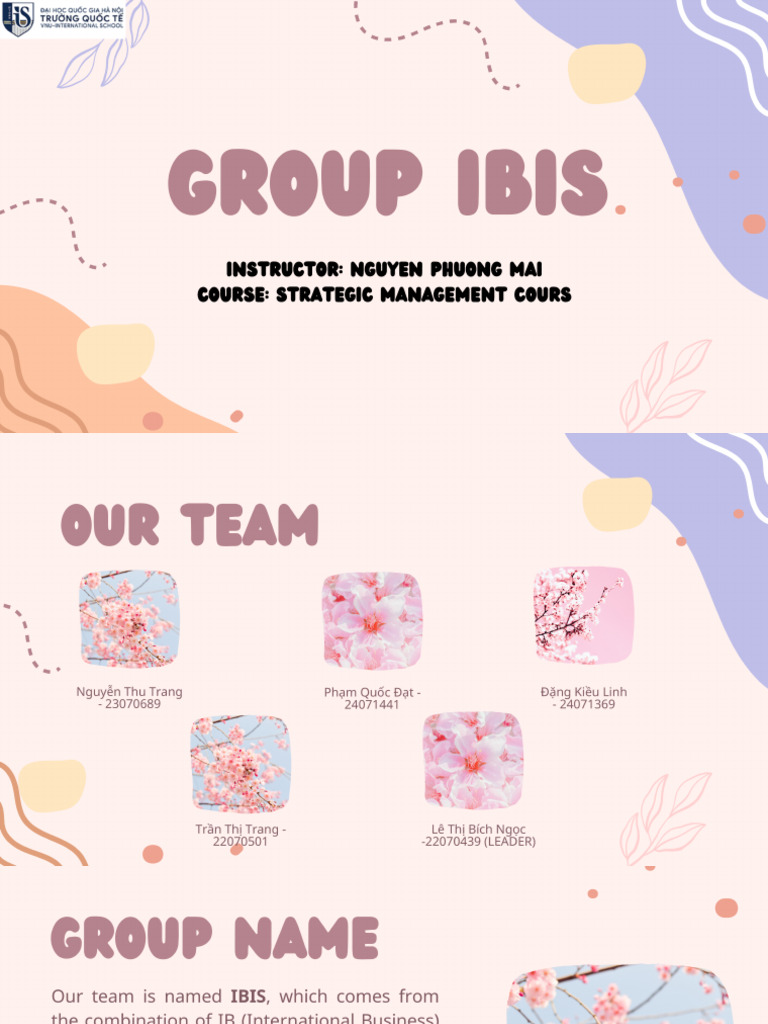 Group Ibis | PDF