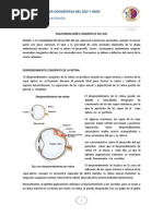 Download MALFORMACIONES CONGNITAS DEL OJO Y OIDO by Sthefany Lpez Chuquizuta SN95626873 doc pdf
