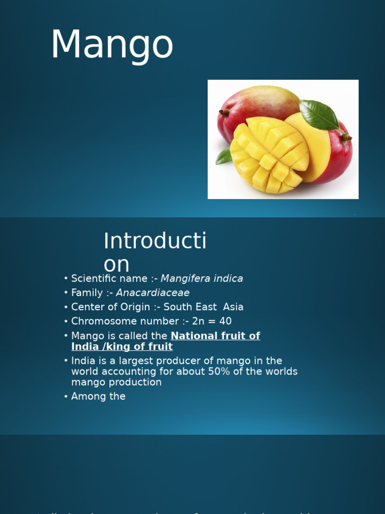 Mango | PDF | Grafting | Mango