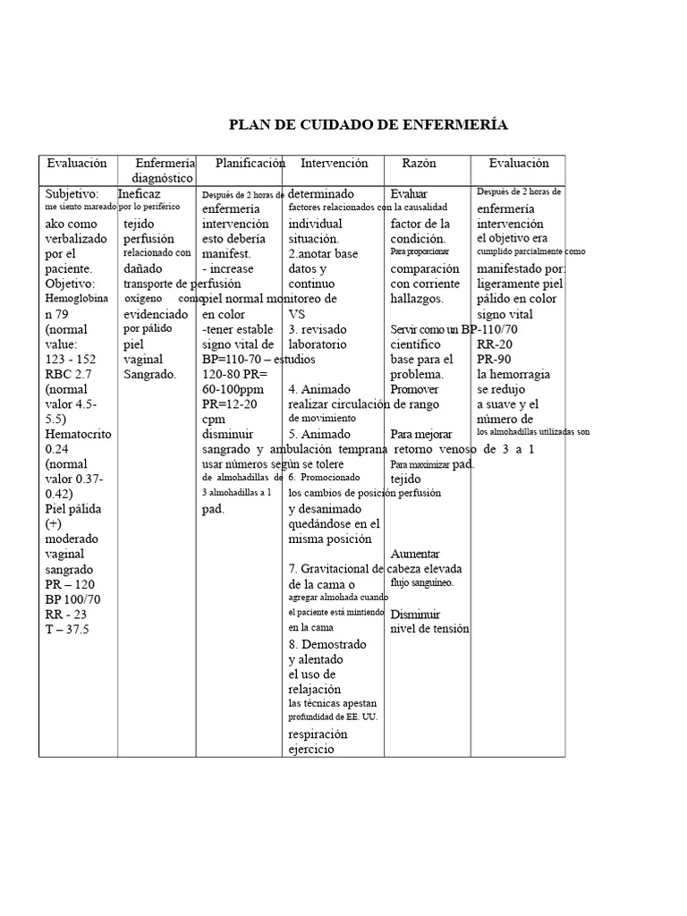 Plan de Cuidado de Enfermería | PDF | Dolor | El embarazo