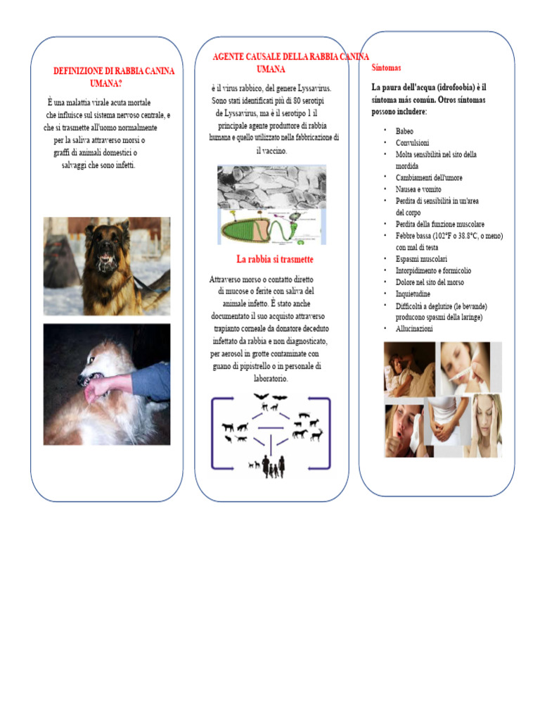 Triptico Rabbia Canina Umana | PDF