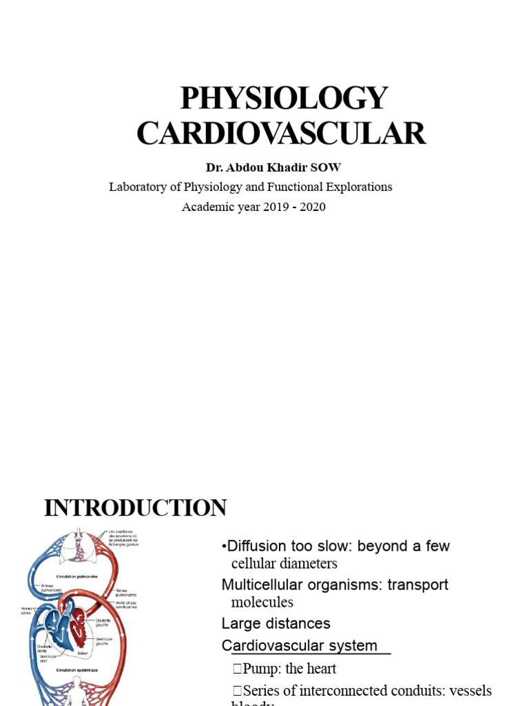 CARDIOVASCULAR PHYSIOLOGY00301 | PDF | Vein | Heart