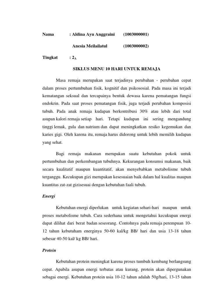 Siklus Menu Renaja 10 Hari