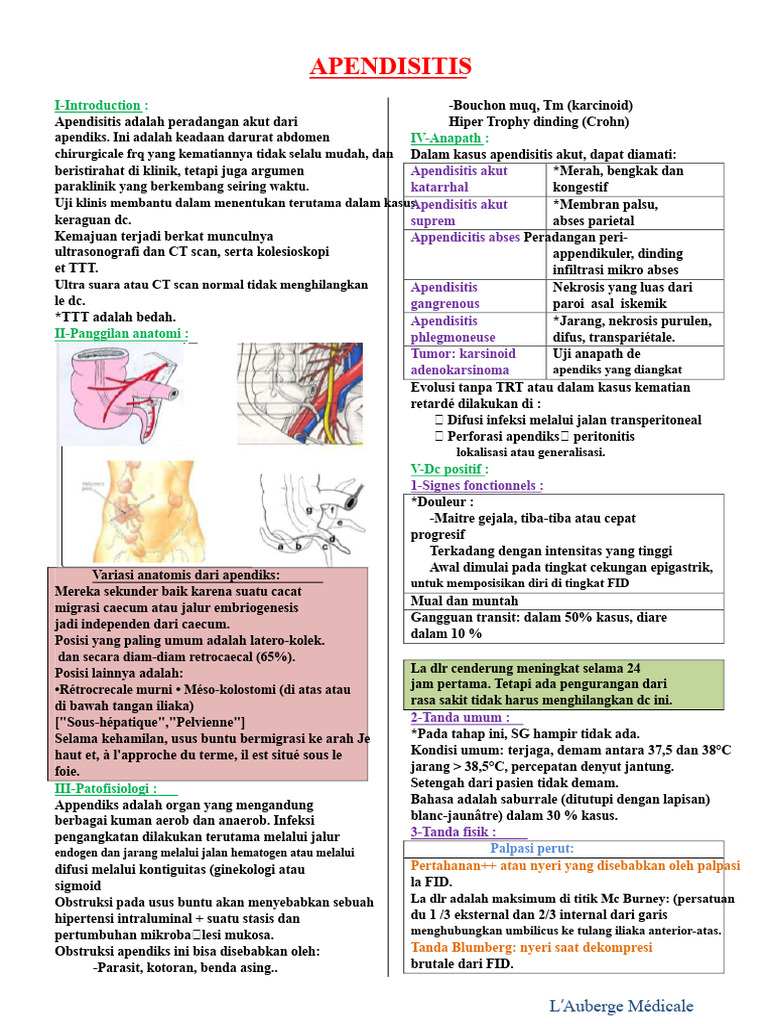 Apendisitis | PDF