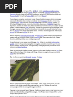 Download kecipir by muhammad_arf93 SN95631562 doc pdf