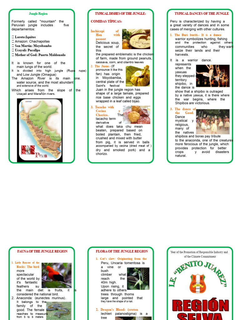Triptych Region Jungle 3 | PDF | Foods