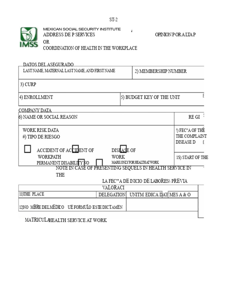 Mexican Social Security ST-2 Form Guide | PDF