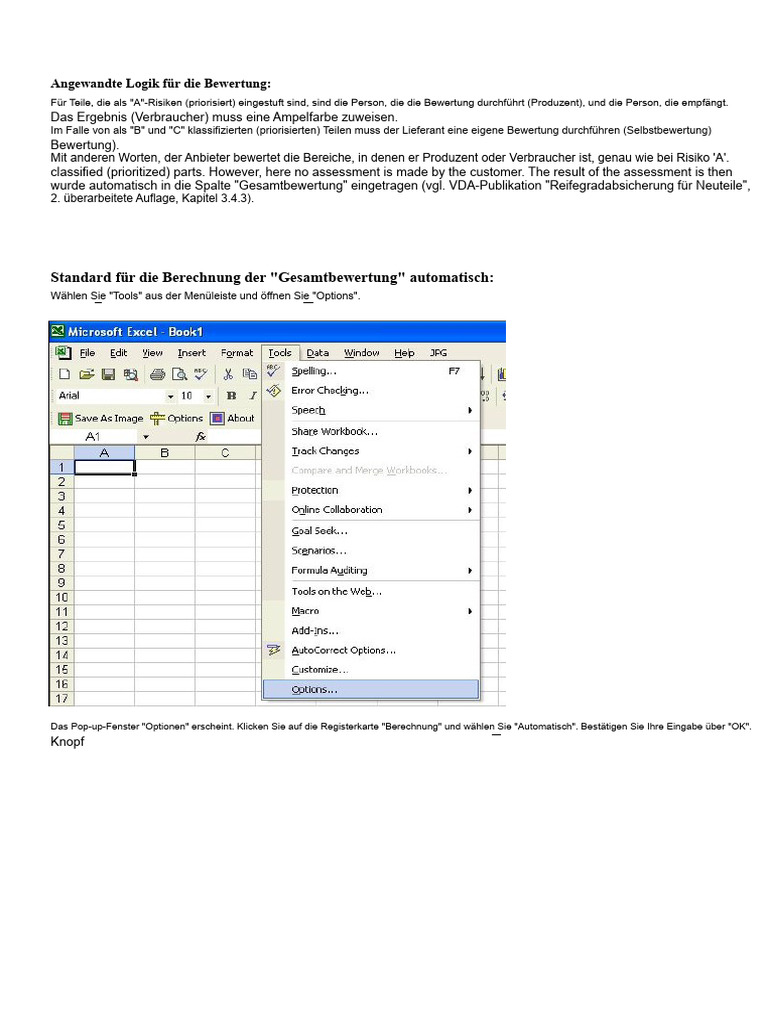 VDA-RGA Fragebogen V2.0 | PDF