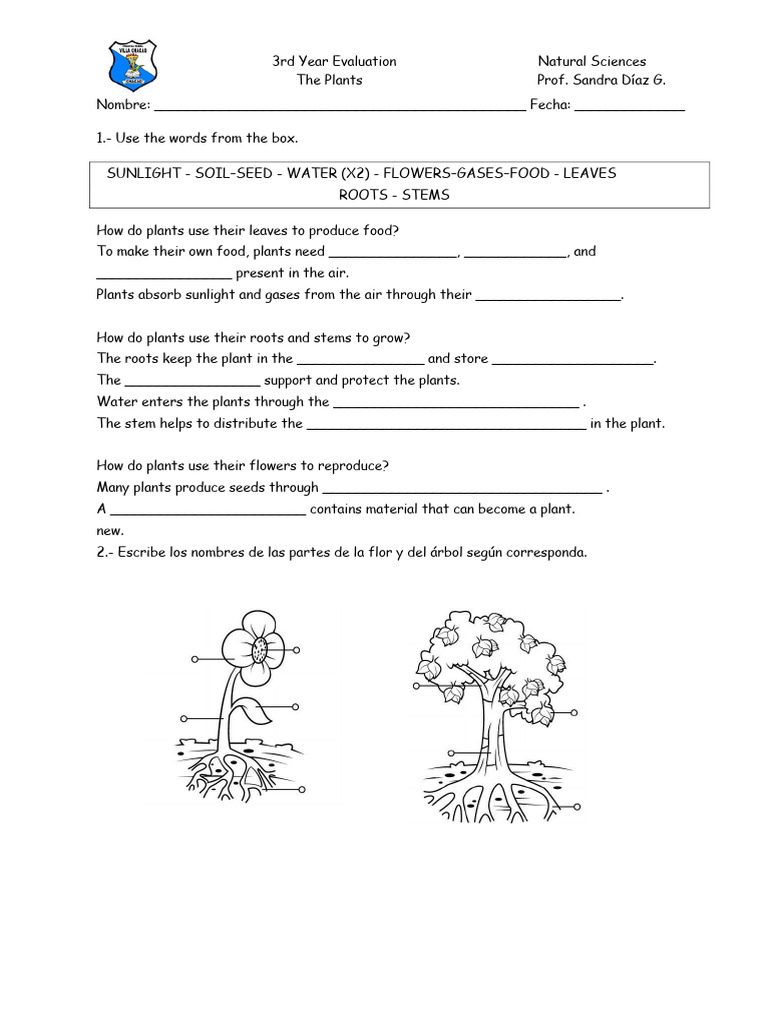 3rd Year Plant Science Evaluation | PDF | Seed | Plants