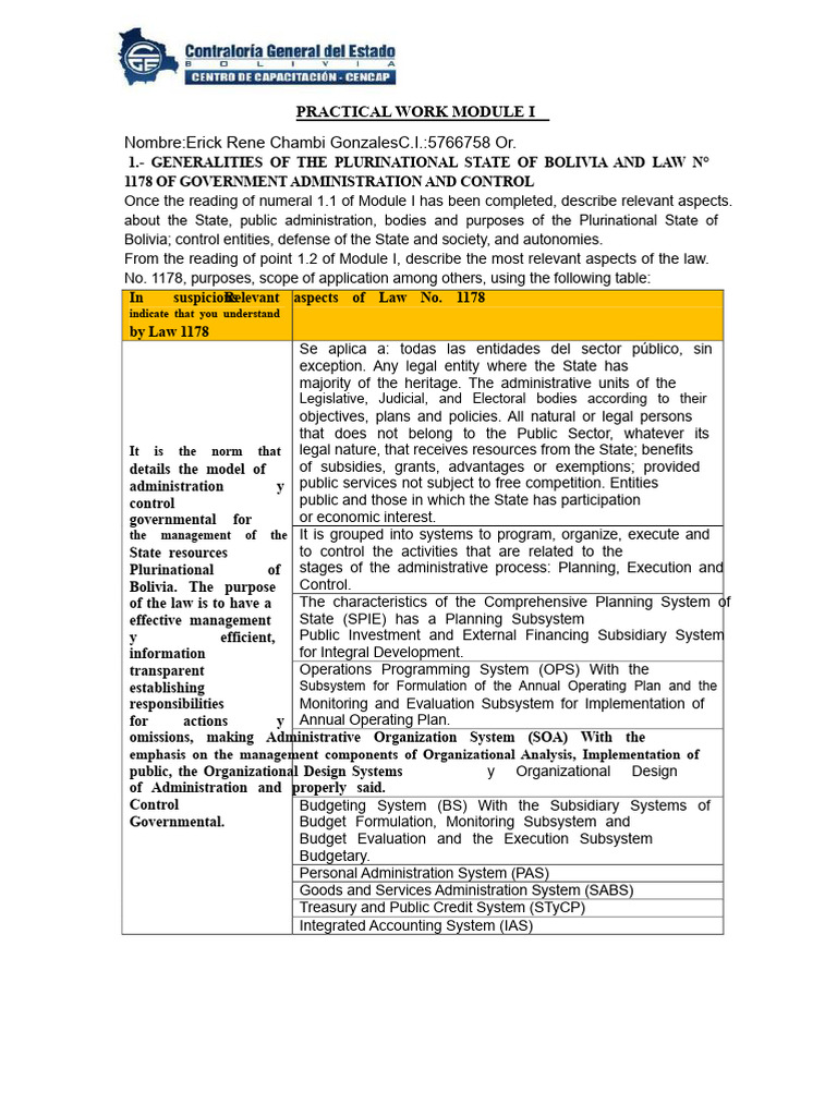 Bolivia's Public Administration Law Overview | PDF | System | Budget