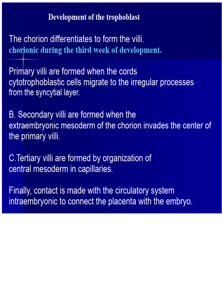 Third Week of Embryology | PDF
