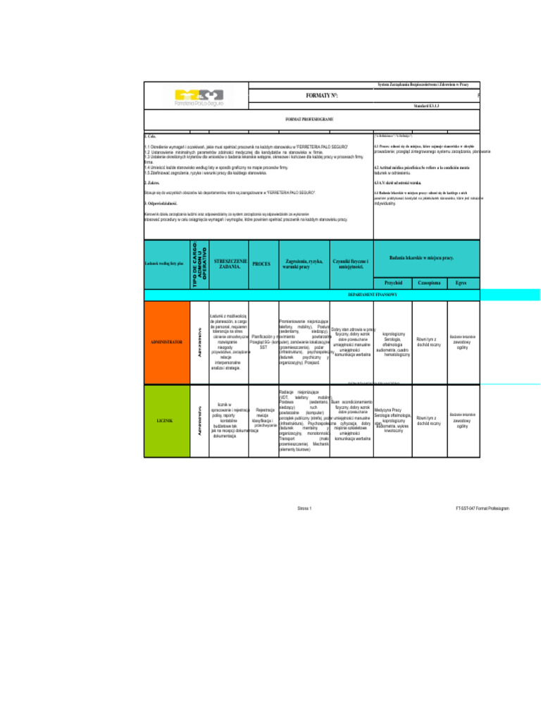 FT SST 010 Format Profesjonalny KOREKTA | PDF