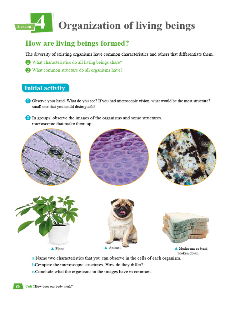 class 1 science 5th | PDF | Cell (Biology) | Tissue (Biology)