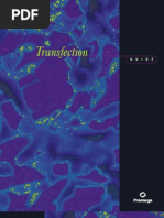 Download transfection by Juan Luis Barrientos Fritz SN95634379 doc pdf
