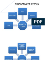 Prevencion Del Cancer Parte Francis