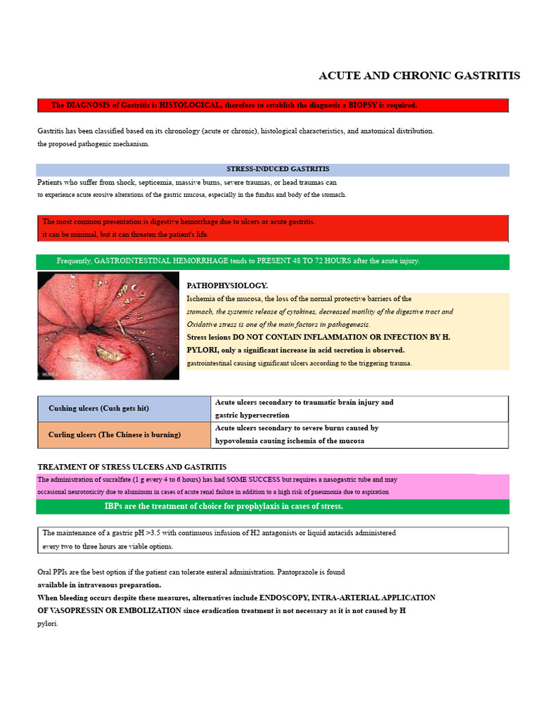 Understanding Acute and Chronic Gastritis | PDF | Stomach | Digestive ...