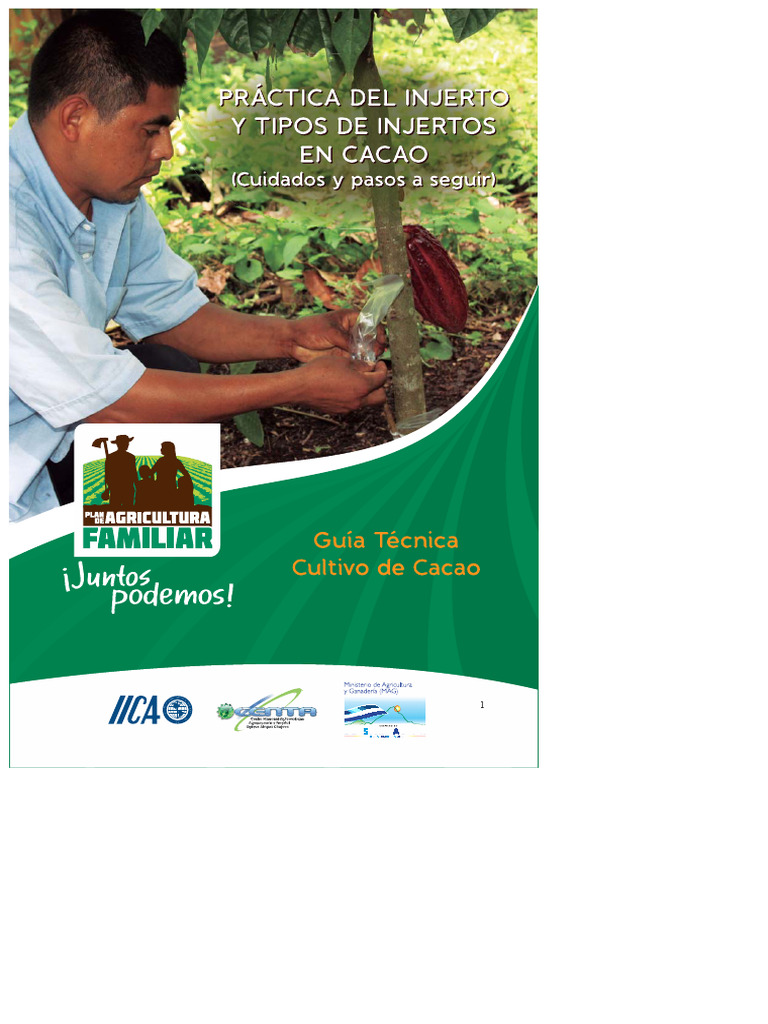 Cocoa Grafting Techniques Explained PDF Grafting Botany