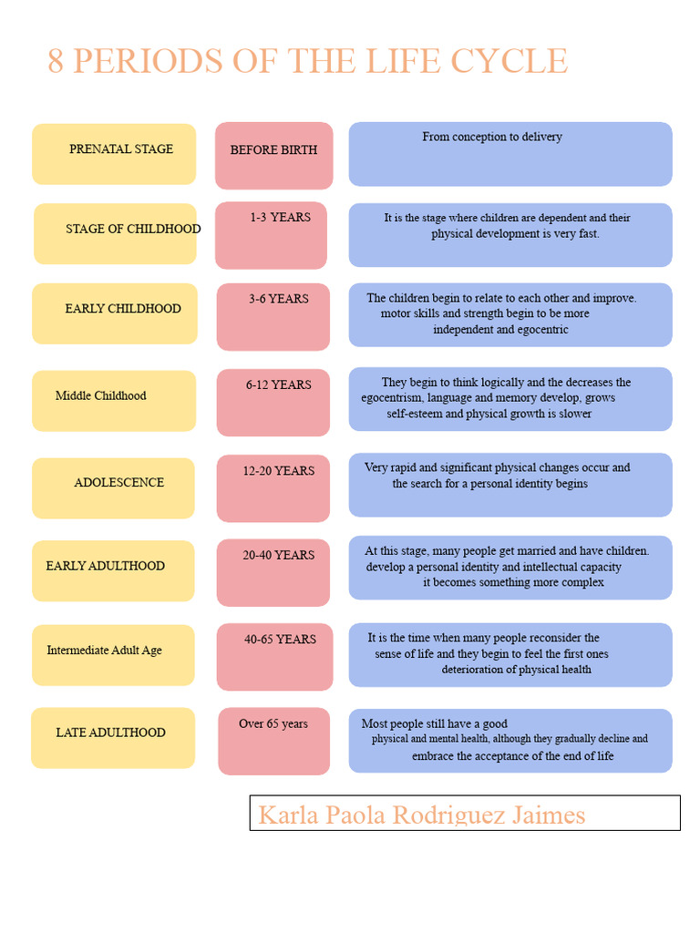 Life Cycle Stages: From Birth to Aging | PDF