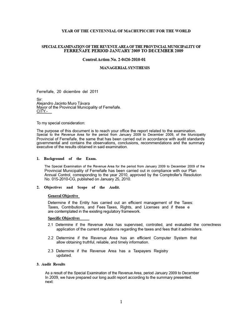 Report On The Revenue Area | PDF | Taxes | Audit
