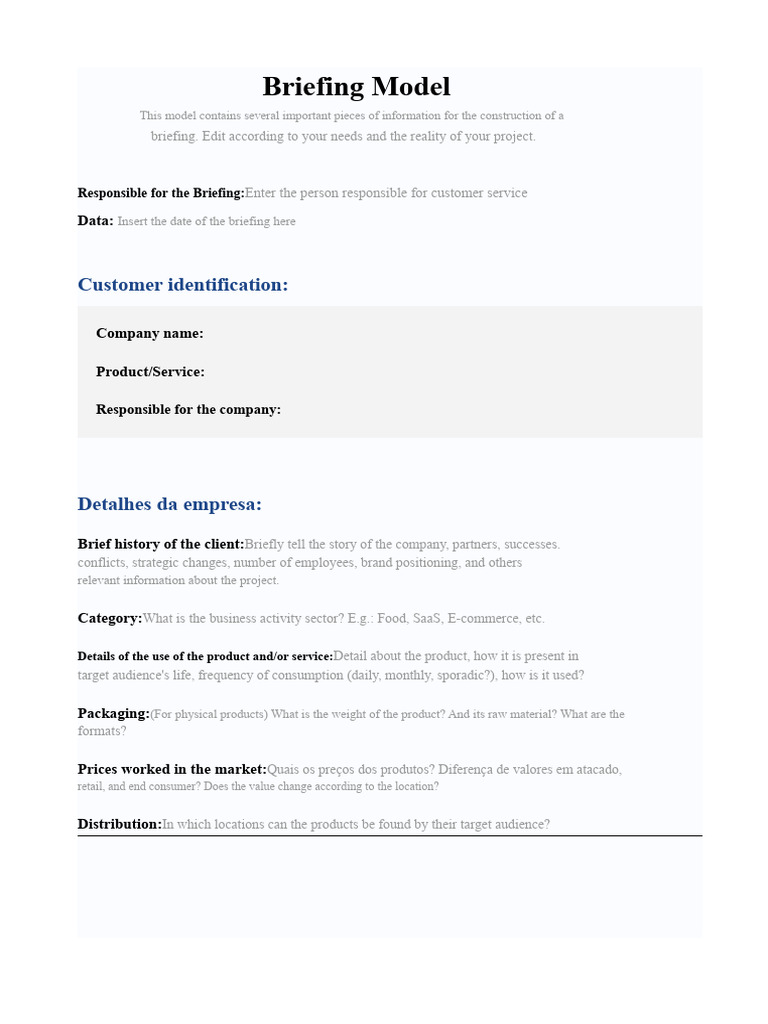 Comprehensive Briefing Model Template | PDF | Target Audience | Product ...