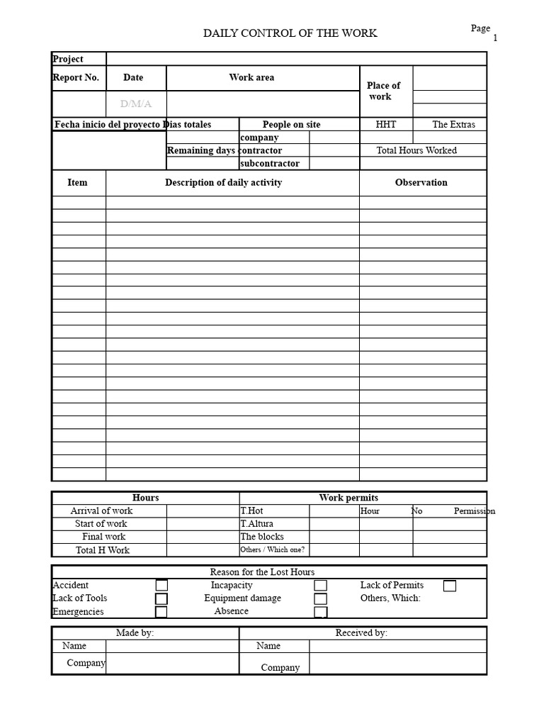 Daily Work Control Report Template | PDF