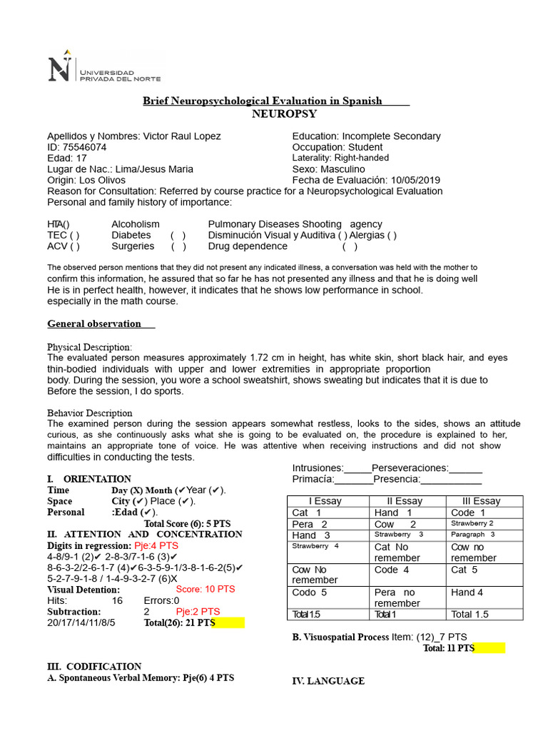 Neuropsi Test Report | PDF | Cognition | Neuroscience