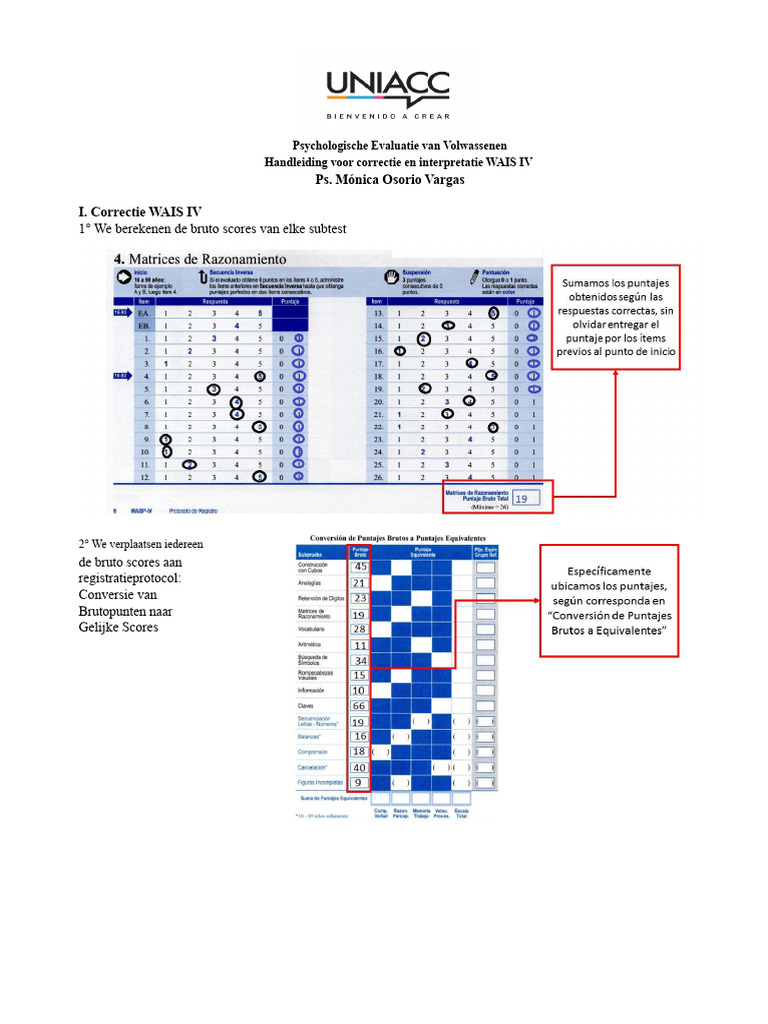 Gids Voor Correctie en Interpretatie WAIS IV | PDF