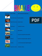 Snake Pictures Types of Snakes (Non-Venomous) Scientific Name