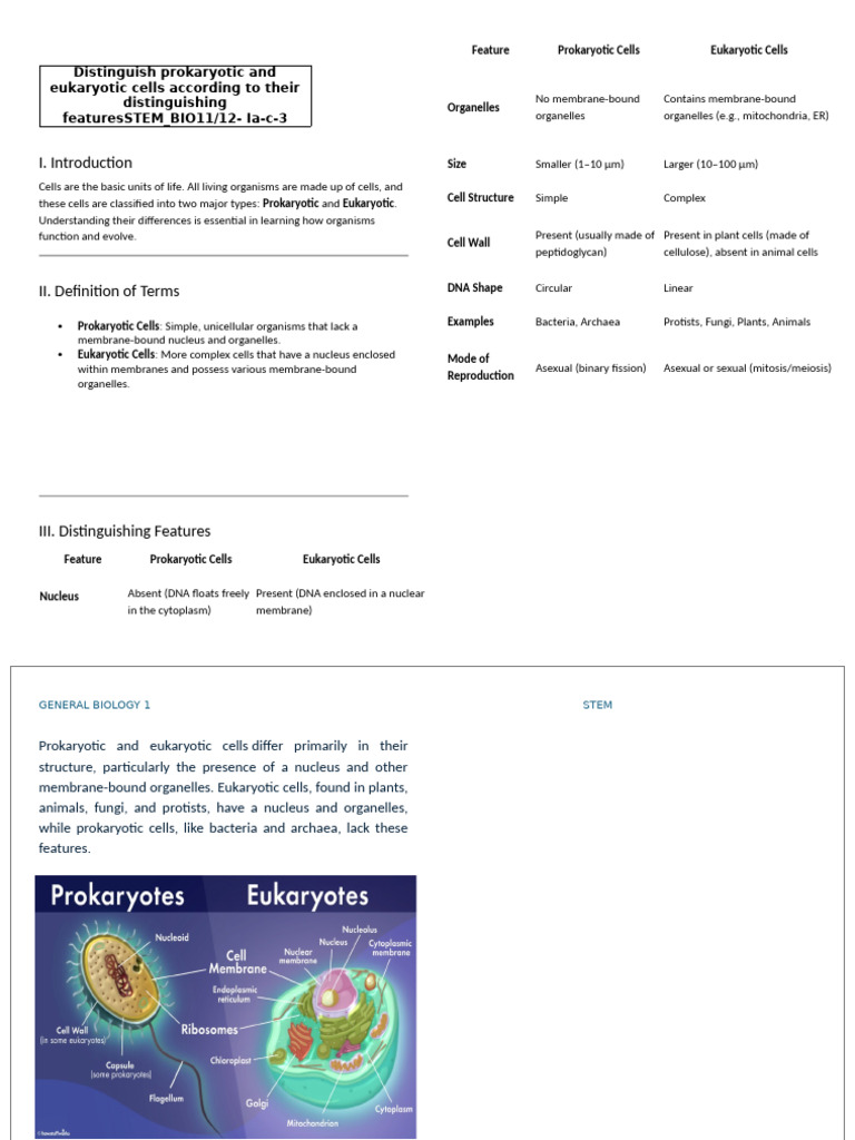 Prokaryotic vs Eukaryotic Cells Explained | PDF | Cell (Biology ...