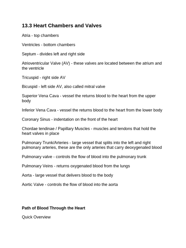 Heart Notes | PDF