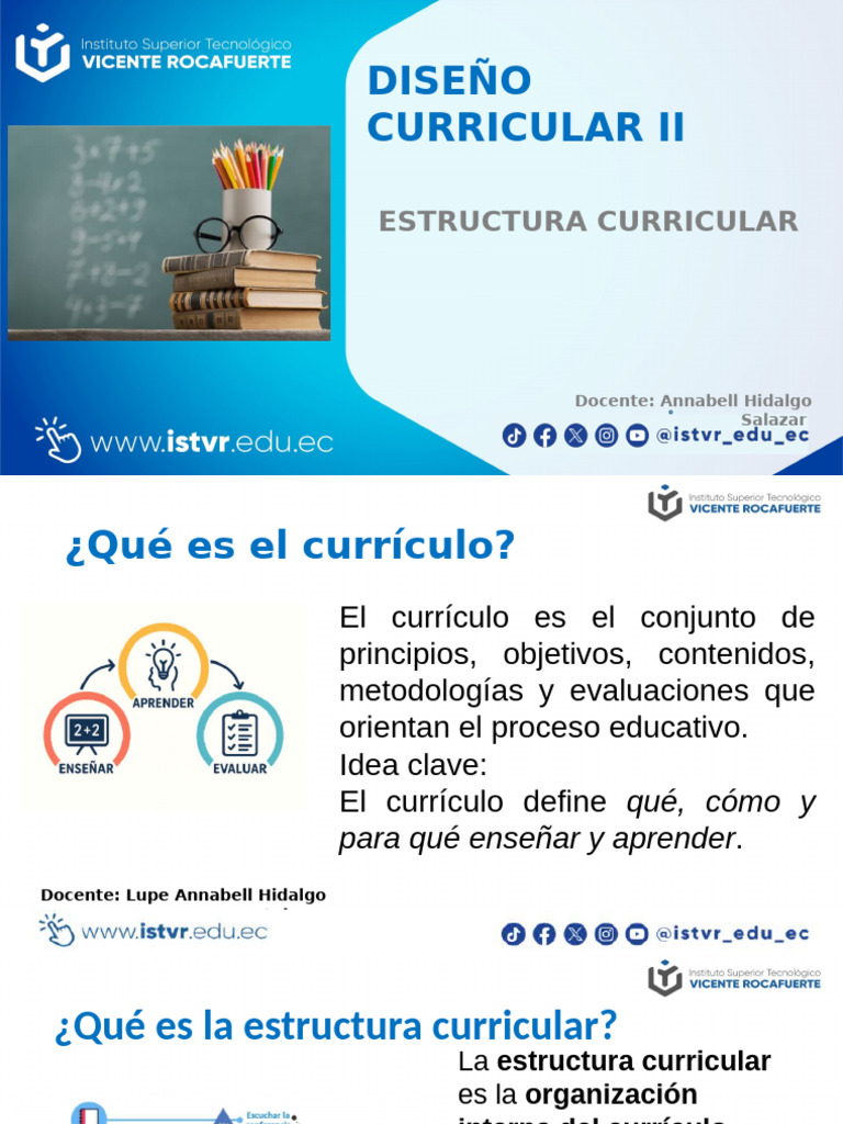 Estructura Curricular | PDF | Plan de estudios | Evaluación