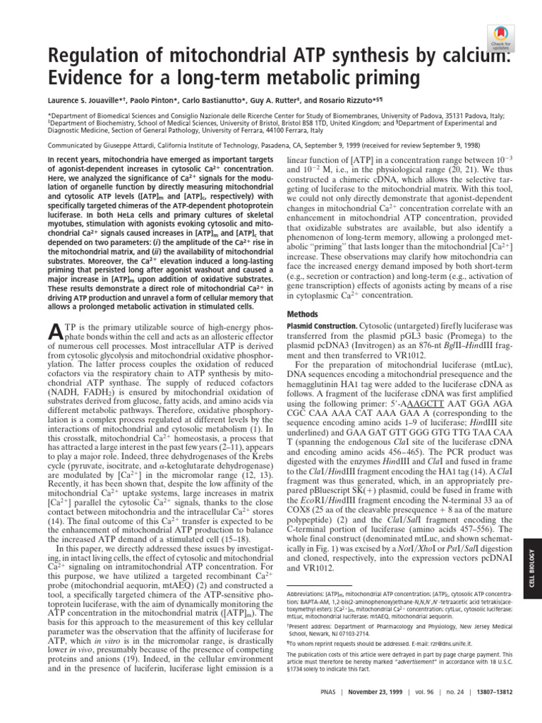 Jouaville Et Al 1999 Regulation of Mitochondrial Atp Synthesis by ...