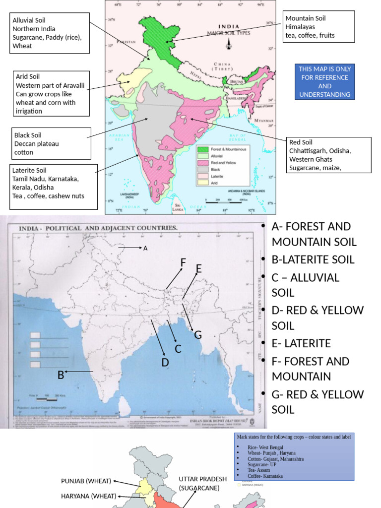 Soil Types and Major Crops in India | PDF
