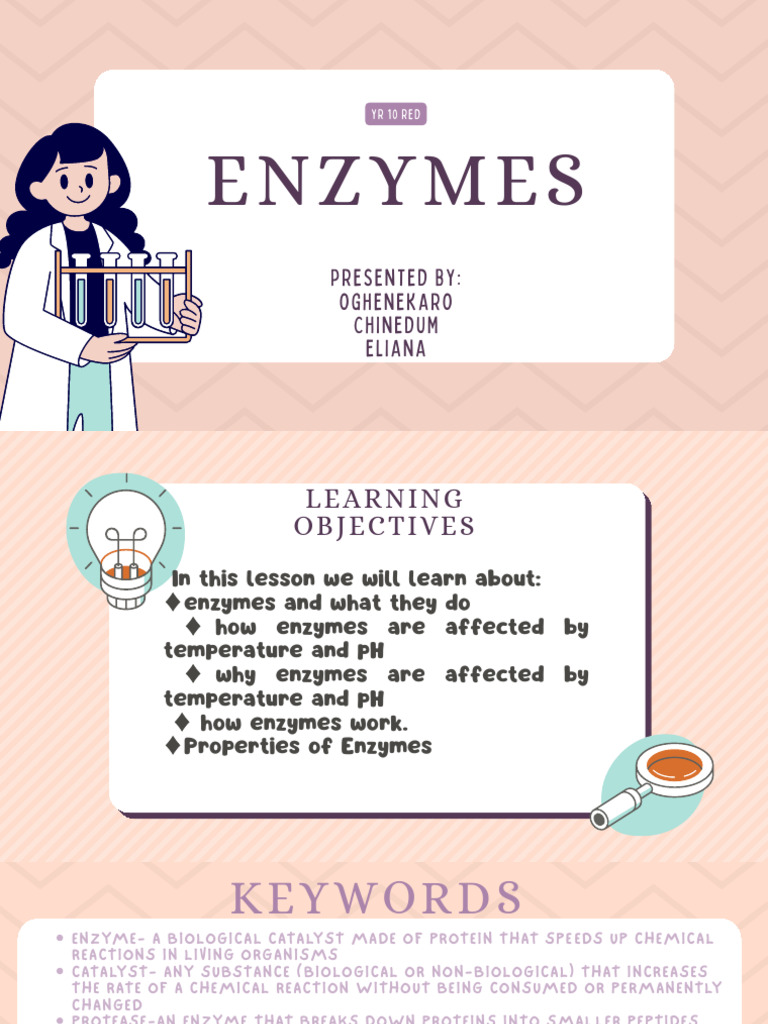 Understanding Enzymes: Functions and Effects | PDF | Enzyme | Active Site