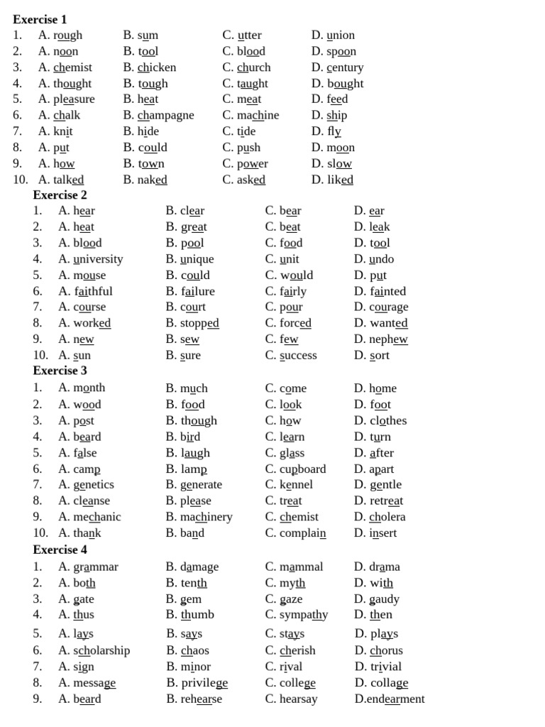 Vocabulary Exercises for Language Learning | PDF