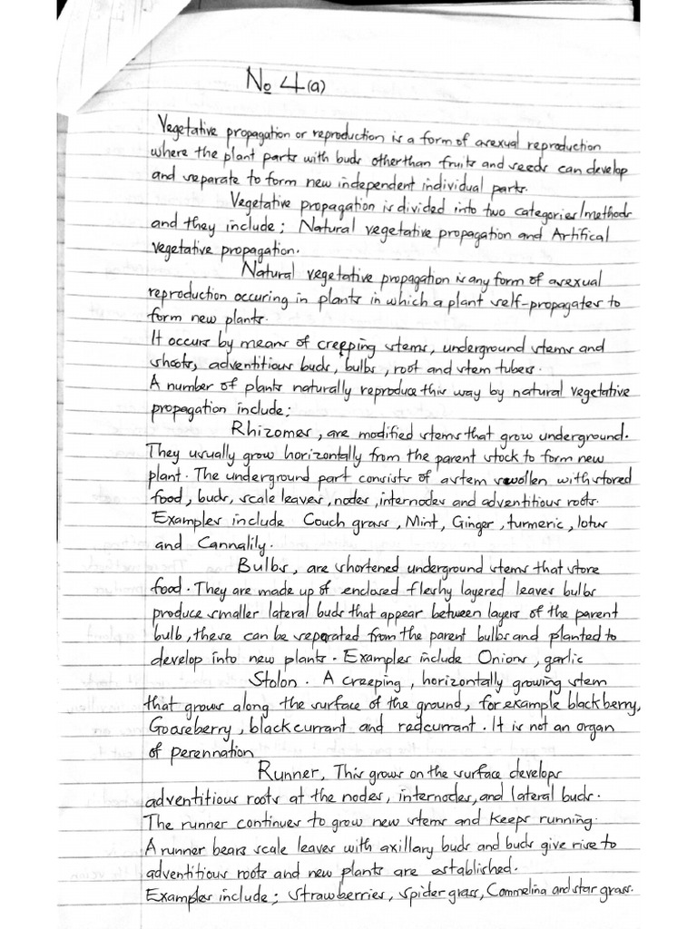 Document 4 | PDF