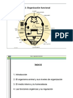 Tema+2.+Organización+funcional