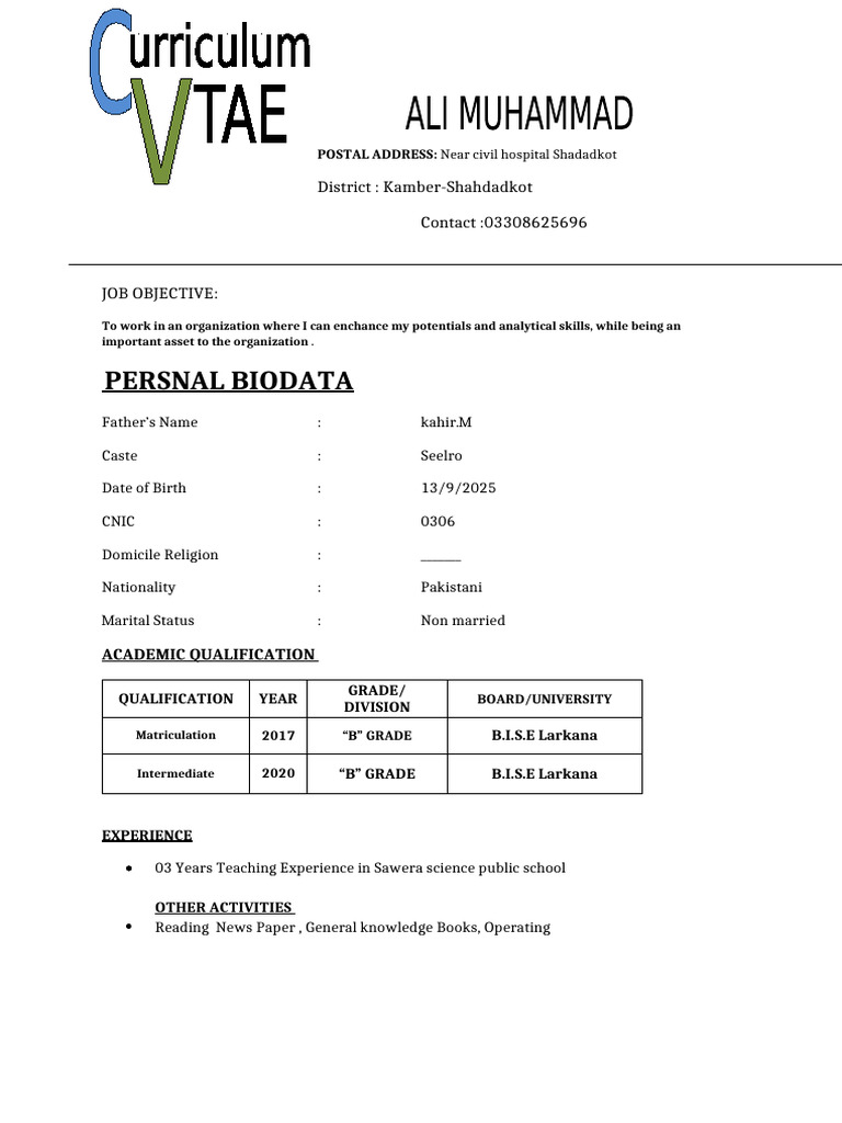 Ali CV | PDF