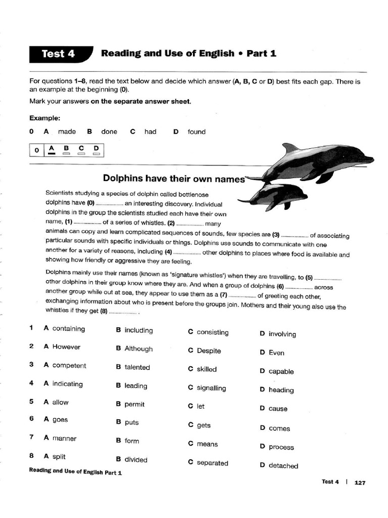 First - For - Schools - Trainer - Test 4 | PDF
