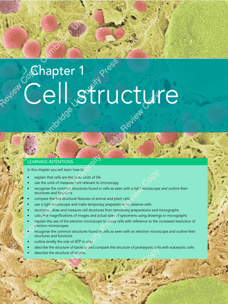 Chapter 1 - Cell Strucutre | PDF | Cell (Biology) | Cell Nucleus