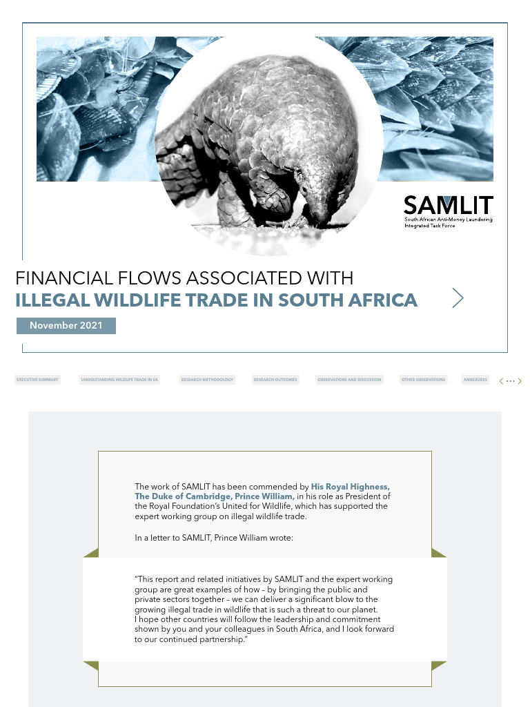 Financial Flows in South Africa's Illegal Wildlife Trade | PDF ...